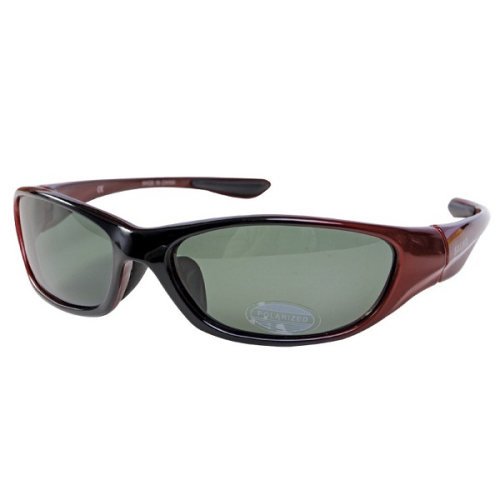 Солнцезащитные поляризационные очки Norfin For Salmo 11 (S-2511)