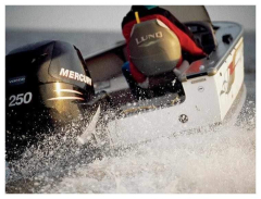 Лодочный мотор Mercury 250 CXL Optimax