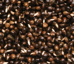 Конопля консервированная Dynamite Baits 2.5л