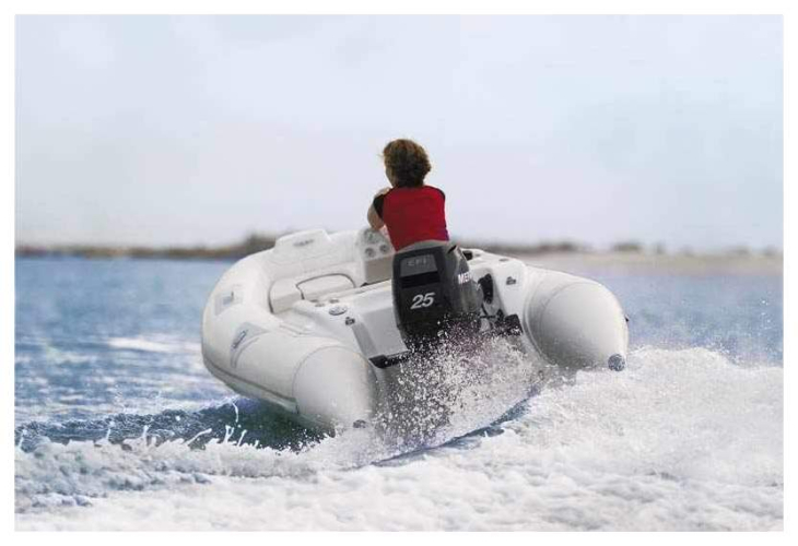 Човновий мотор Mercury F 25 E EFI