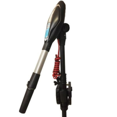 Электромотор Haswing Protruar 3.0 110Lbs черный 24В бесщеточный